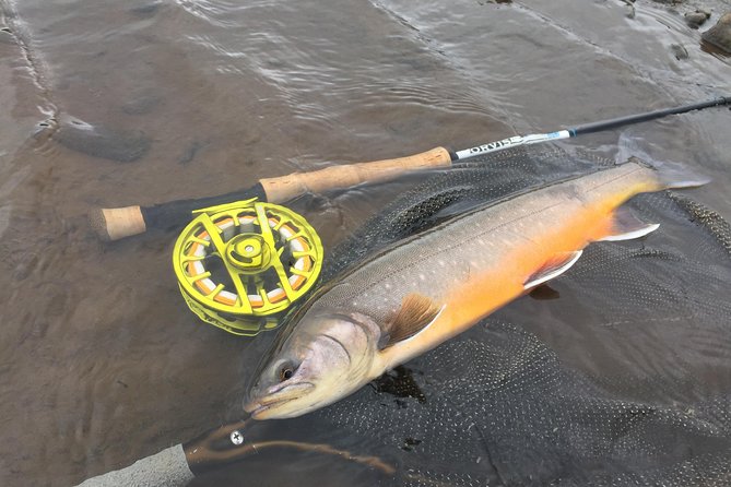 Private Fishing Tour from Reykjavik - Arctic Char and Brown Trout - Equipment, waders, and lunch