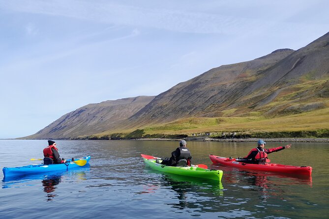 Private: Guided kayak tour in Siglufjörður / Siglufjordur. - Why kayaking gives Siglufjörður a different look