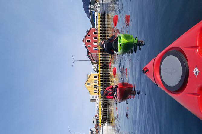 Private: Guided kayak tour in Siglufjörður / Siglufjordur. - Local stories from a guide who knows Siglufjörður