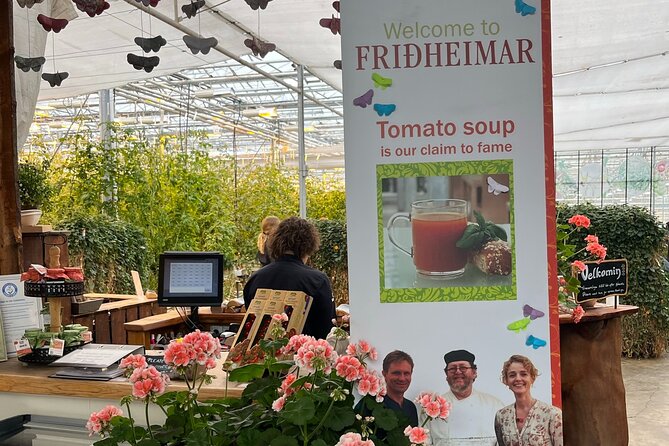 Private Guided Tour Golden Circle & Friðheimar Greenhouse Iceland - What the private car changes