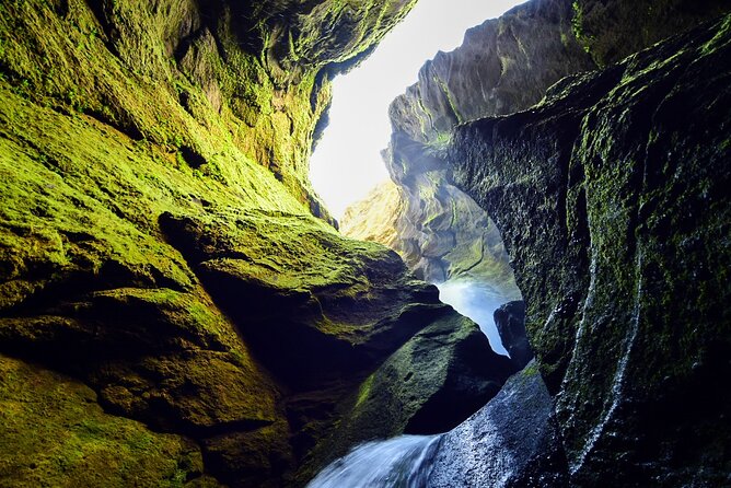 Private Half Day Iceland Tour with Guide and Vehicle - What the timing means for value