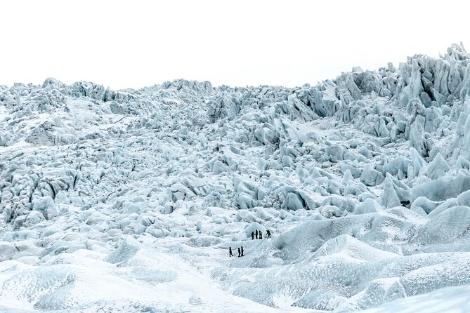 Private Jökulsárlón Glacier Lagoon 2 Day Tour & Glacier Hike - The guide makes the private format worthwhile