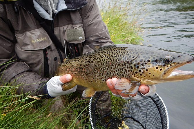 Private Lake and River Fishing Tour from Reykjavik - What the private transport adds