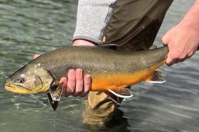 Private Lake and River Fishing Tour from Reykjavik - Five hours on a river near Laugarvatn