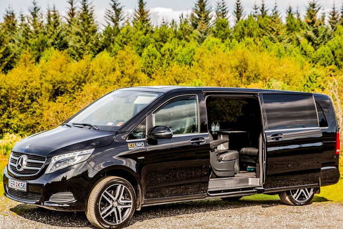 Private Luxury Airport transport Keflavik in Sedan - What happens after customs