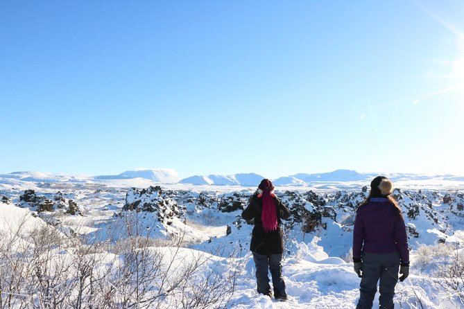 Private Tour in Northern Iceland from Akureyri - Why a private Myvatn tour works so well