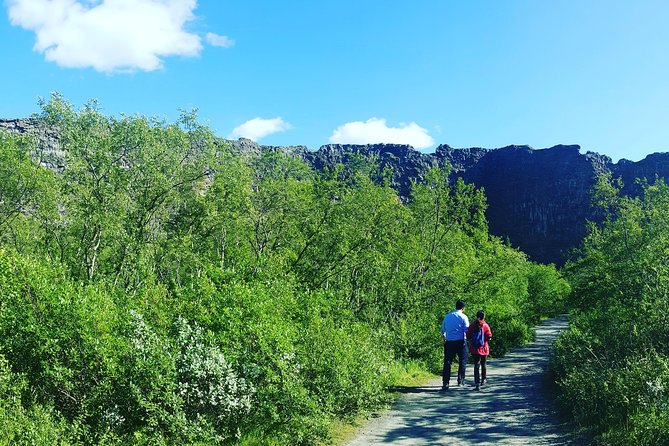 Private Tour in Northern Iceland from Akureyri - Hverir shows Iceland at its most otherworldly