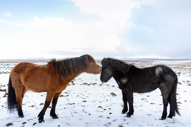 Private Tour Of The Golden Circle With Farm Visits In Iceland - Why this private Golden Circle day works well