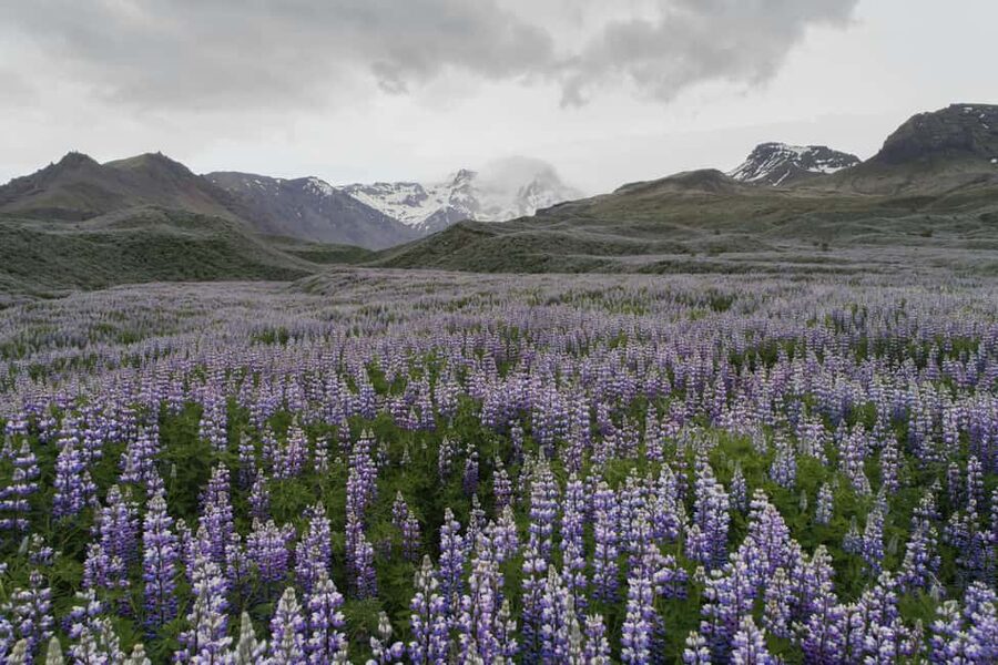 Private Tour to Landmannalaugar. Explore the Highlands - Landmannalaugar’s Hot River and Rhyolite Mountains