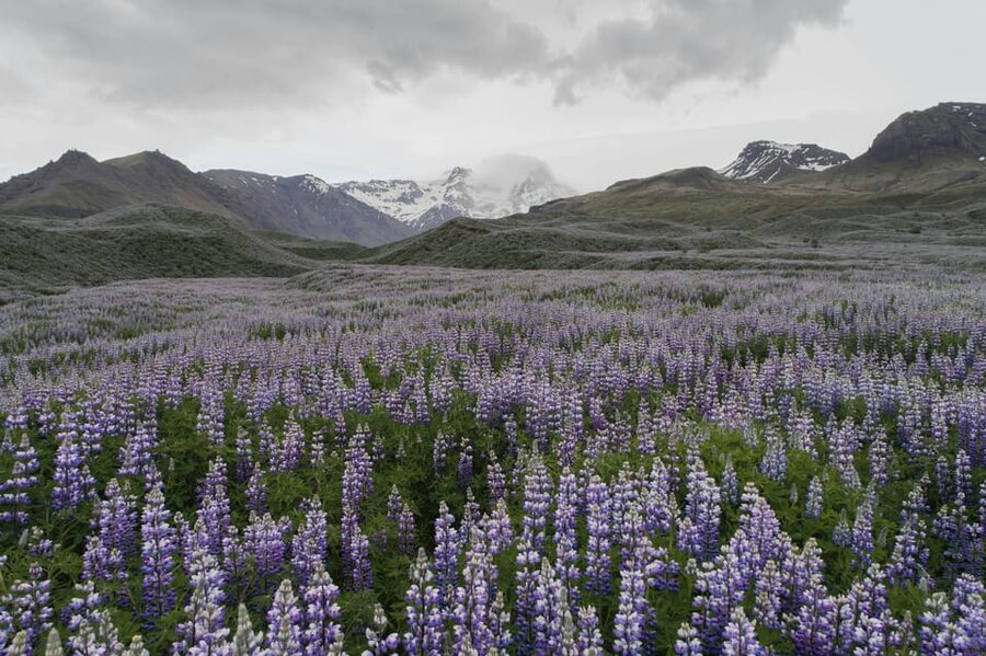 Private Tour to Landmannalaugar. Explore the Highlands - What the Private Format Adds