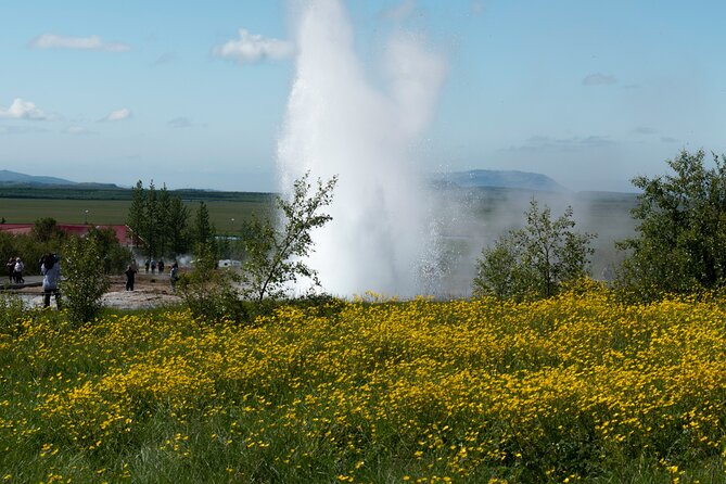 Private Visit Golden Circle Essentials - What a private vehicle changes