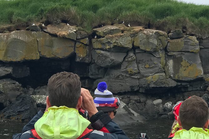 Puffin Watching Speedboat Express - Who should book this boat trip?