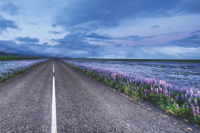 Rent Unlimited High Speed pocket Wifi in Iceland - How the rental length affects value
