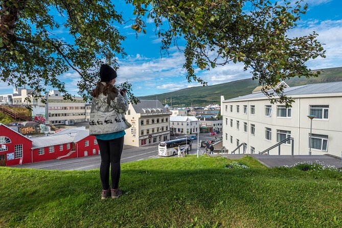Revel in Reykjavik: Unveiling Iceland’s Charismatic Capital - A useful first walk through Reykjavik