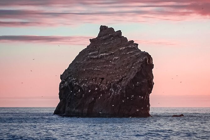 Reykjanes Peninsula Private tour Iceland - The Bridge Between Continents and the final drive home