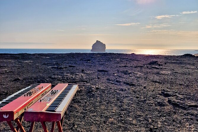 Reykjanes Peninsula Private tour Iceland - What the private guide adds to the day