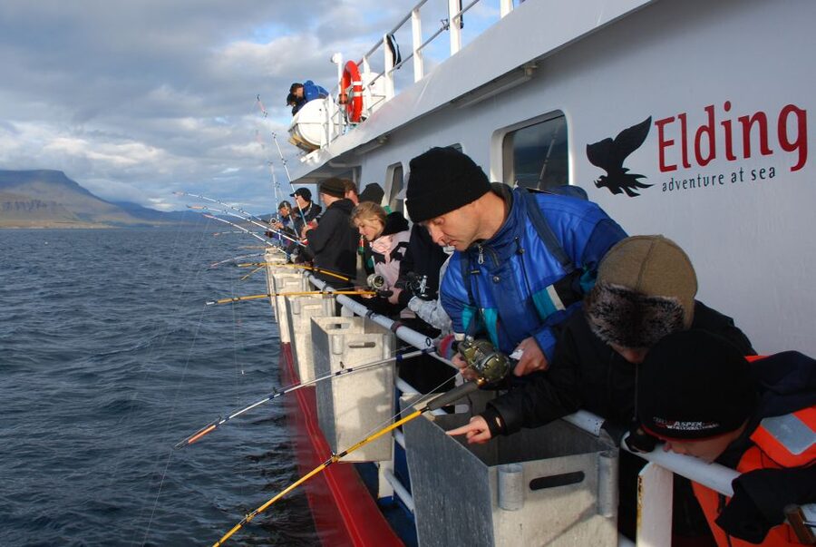 Reykjavik: 3-Hour Sea Angling Gourmet Experience Tour - Practical advice for a smoother outing