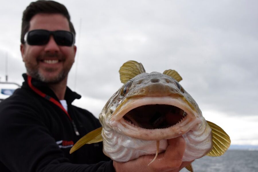 Reykjavik: 3-Hour Sea Angling Gourmet Experience Tour - Should you book the Jóhanna sea angling tour?