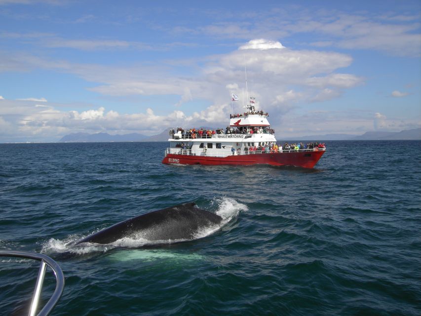 Reykjavik: ATV Ride & Whale Watching Boat Tour - Safety training before the ATV ride