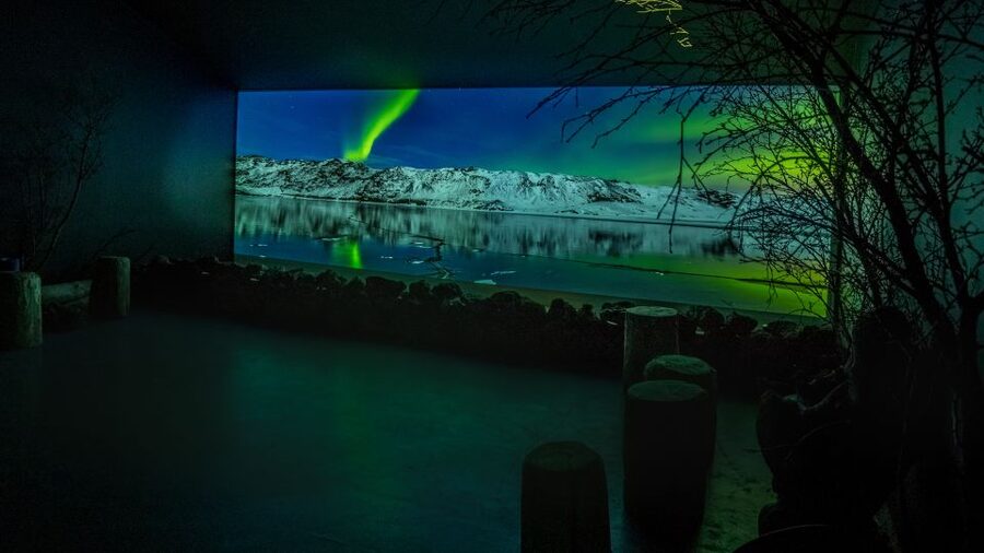 Reykjavik: Aurora Reykjavik The Northern Lights Center Entry - Key points to know before you go