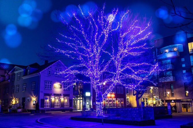 Reykjavik Christmas Walking Tour - What the two-hour format gives you