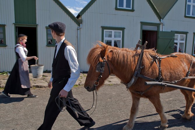 Reykjavik City Card 24-hour - The zoo and family options