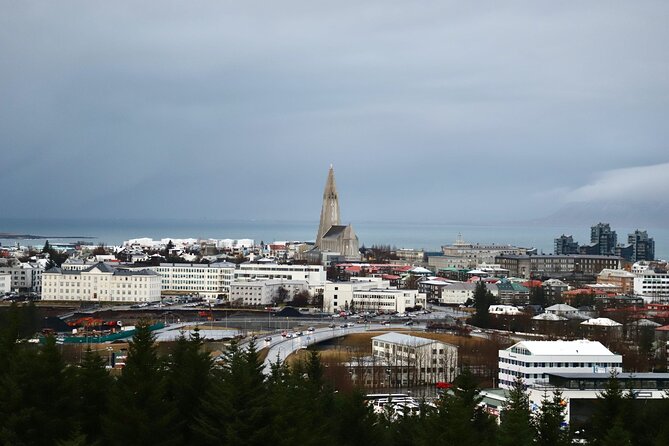 Reykjavik City Private Tour - How the private vehicle changes the experience