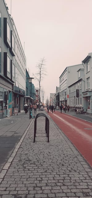 Reykjavik City Private Tour: Perlan, Arbaer & City Landmarks - A smart way to see Reykjavik in five hours