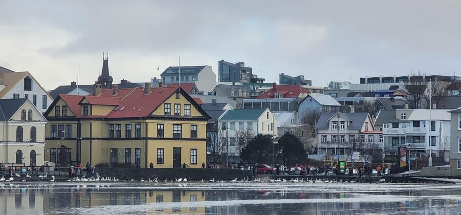 Reykjavik City Private Tour: Perlan, Arbaer & City Landmarks - Hallgrímskirkja and the view from its tower