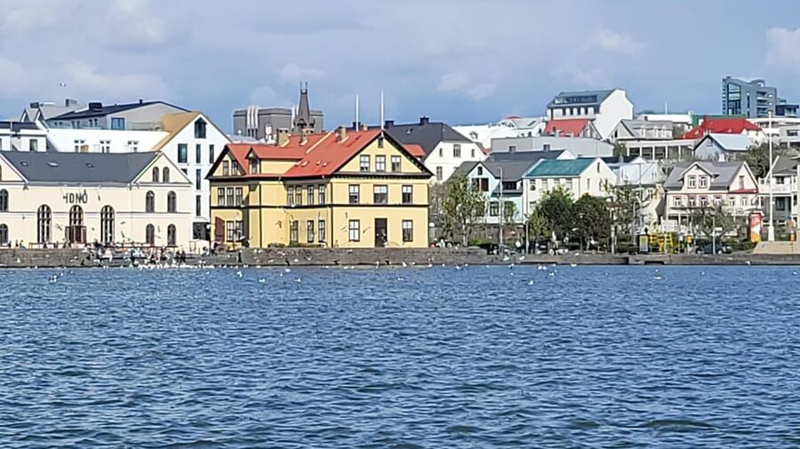 Reykjavik City Private Tour: Perlan, Arbaer & City Landmarks - The guide and the pace of the day