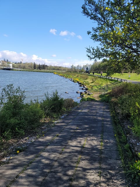 Reykjavik City Private Tour: Perlan, Arbaer & City Landmarks - Who will get the most from this tour