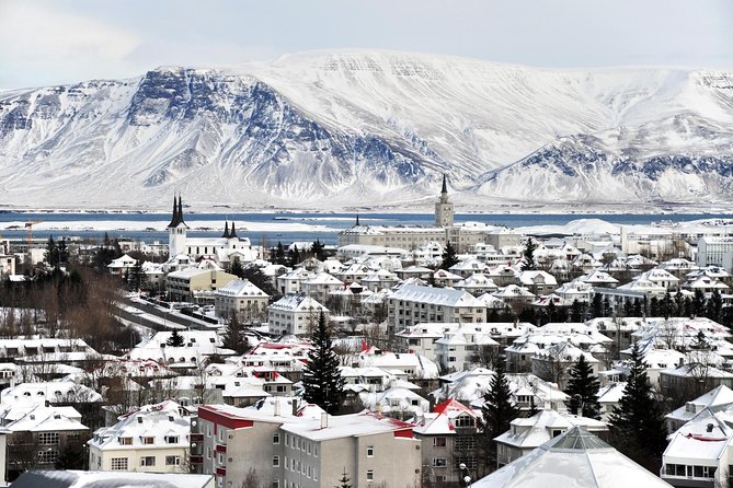 Reykjavik City Walking Tour - Harpa, Sólfar, and views across the bay