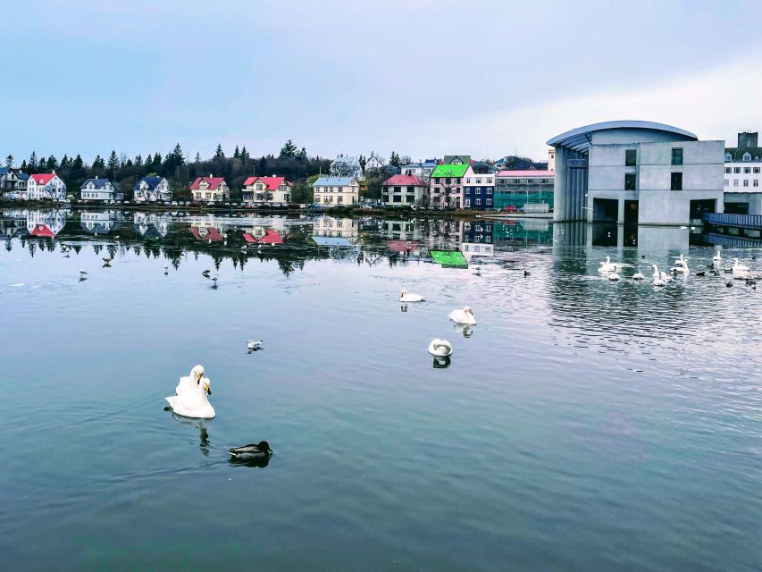 Reykjavik: City Walking tour in Small Group with Local Guide - Tjörnin, colorful houses, and city wildlife