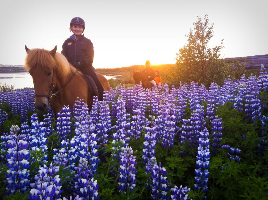 Reykjavik: Evening Sleipnir Horse Riding Tour with Pickup - Key points at a glance