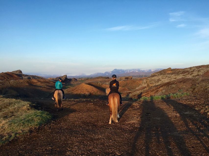 Reykjavik: Evening Sleipnir Horse Riding Tour with Pickup - Why this evening ride feels different from a basic stable outing