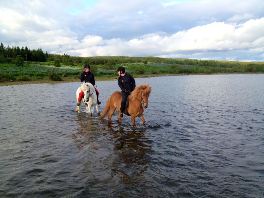 Reykjavik: Evening Sleipnir Horse Riding Tour with Pickup - Stallion Valley and the changing trail
