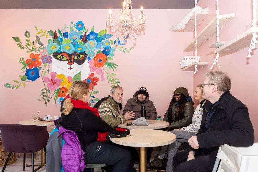 Reykjavik: Feline-Focused City Walking Tour - What the $74 price gets you