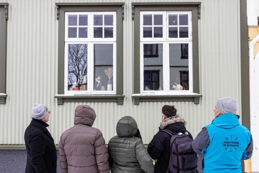 Reykjavik: Feline-Focused City Walking Tour - Small groups, pace, and practical comfort