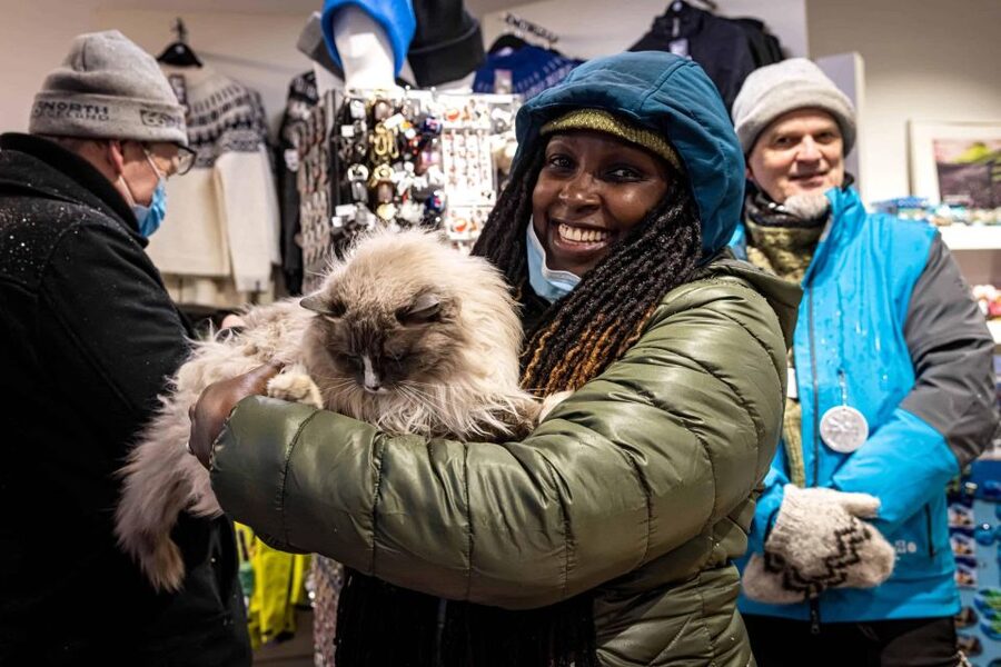 Reykjavik: Feline-Focused City Walking Tour - Starting at Ingólfstorg