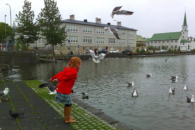 Reykjavik Food Tour and City Walk - PRIVATE TOUR - What the $325.30 price means