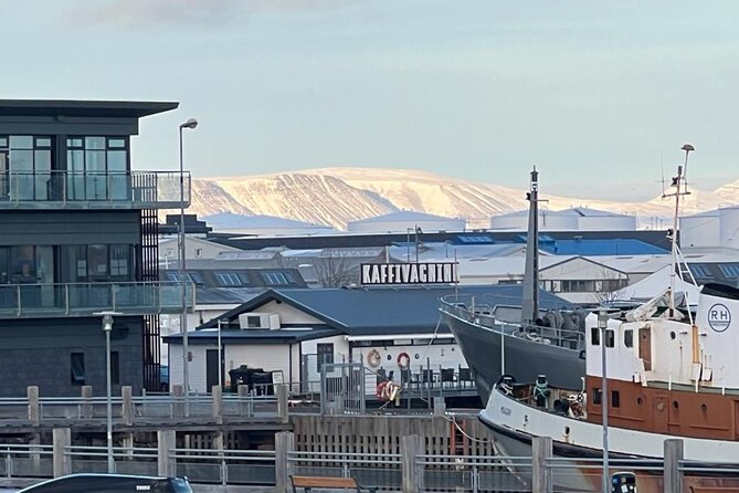 Reykjavik Food Tour - Old Harbor Walking Tour - Why the Old Harbor is the right place for a food tour
