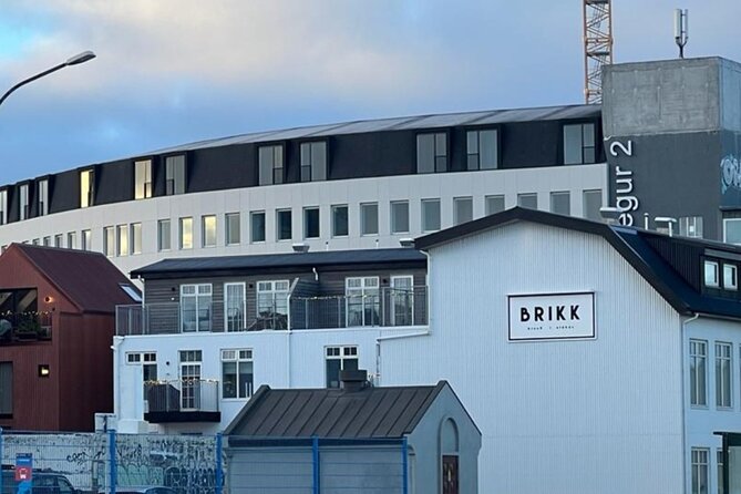 Reykjavik Food Tour - Old Harbor Walking Tour - What you can expect from the tasting stops
