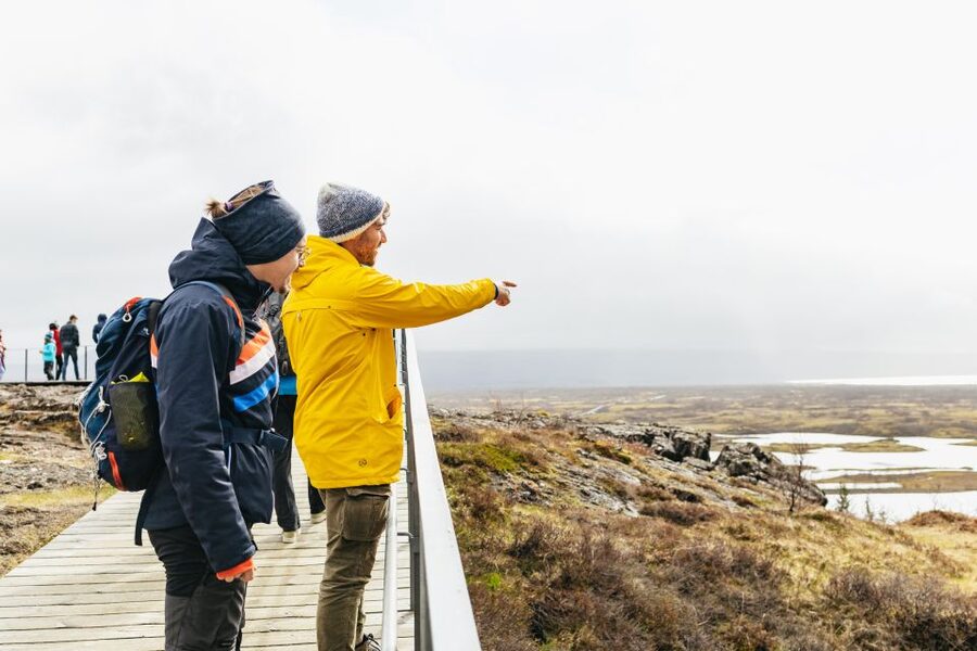Reykjavik: Golden Circle, Crater & Blue Lagoon Minibus Tour - Who should book this tour?