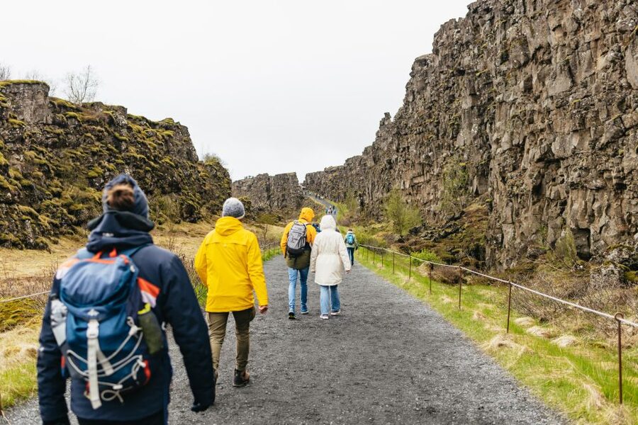 Reykjavik: Golden Circle, Crater & Blue Lagoon Minibus Tour - The Blue Lagoon: a warm finish after a cold day