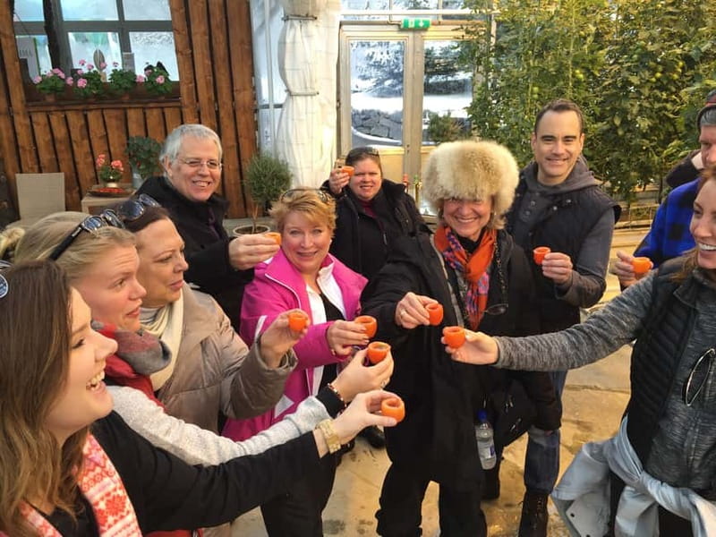 Reykjavik: Golden Circle, Fridheimar, & Sky Lagoon Day Trip - Key points at a glance