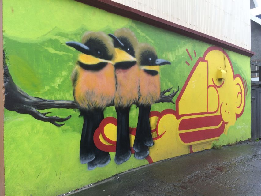 Reykjavik: Guided City Walking Tour - Austurvöllur, Parliament, and the Pond