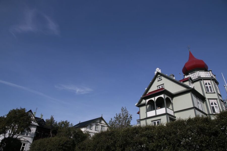 Reykjavik: Guided City Walking Tour - What the guide adds to the walk