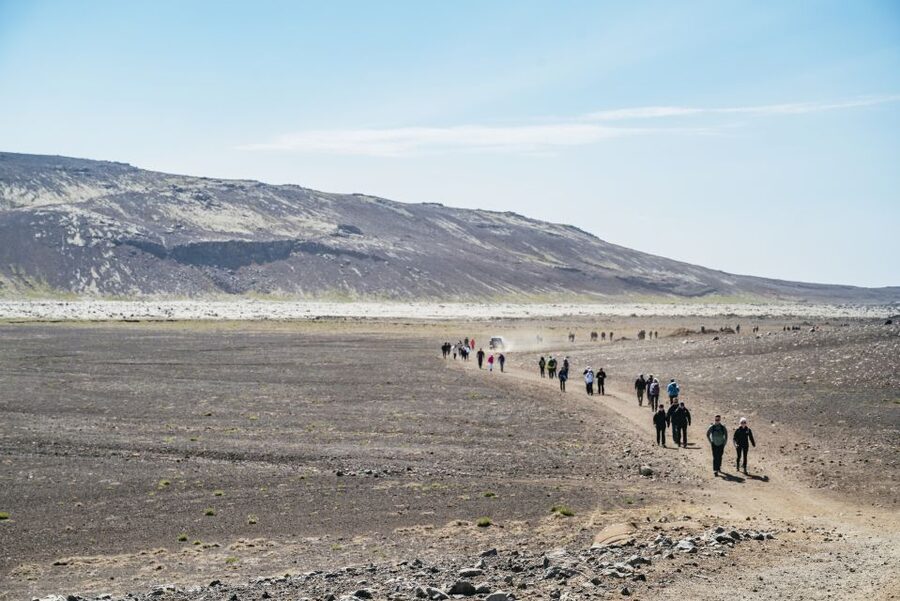 Reykjavik: Guided Tour to Volcano and Reykjanes Geopark - What the guide adds