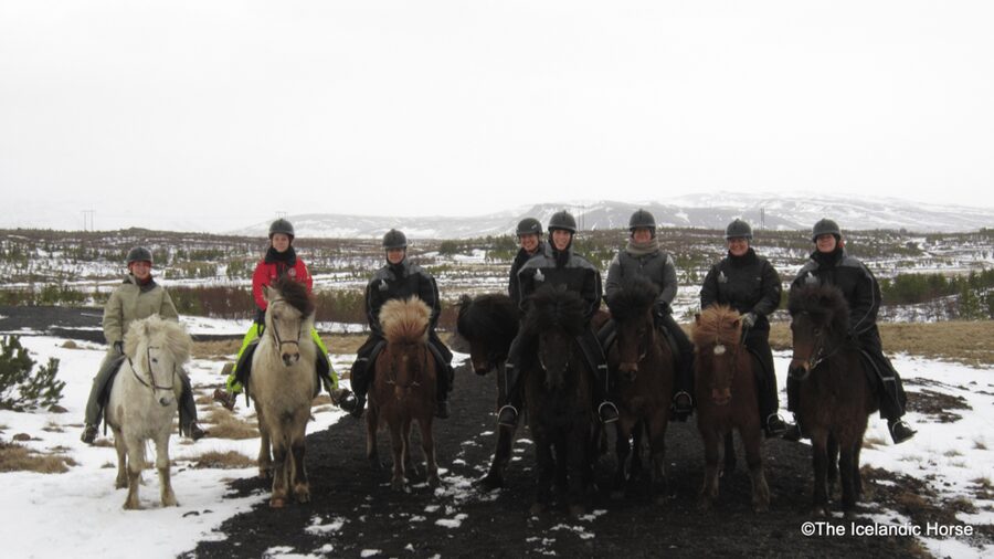 Reykjavík: Horse Riding Tours - Feeling the tölt for the first time