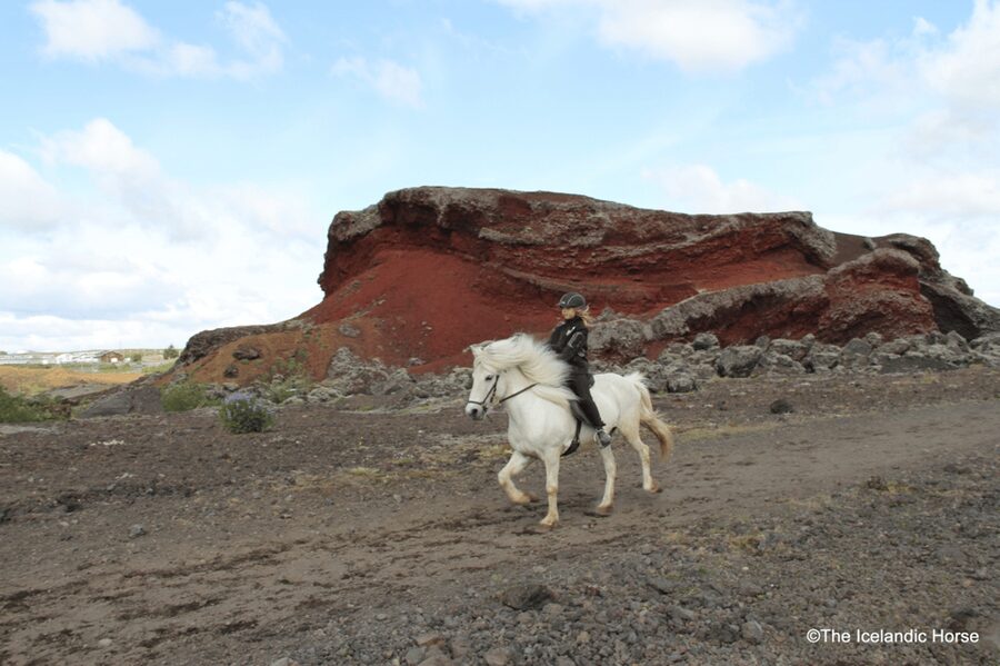 Reykjavík: Horse Riding Tours - What the $200 price really buys you